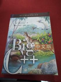 Big C++中文版