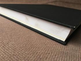 中外广告精品赏析 (精装 编号:1)