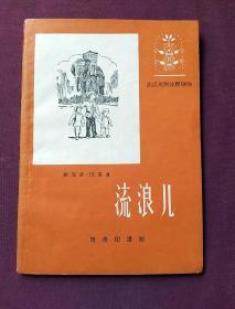 流浪儿  法汉对照注释读物