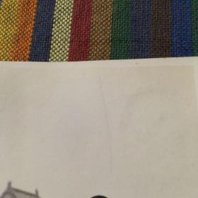 民国十八年故宫前的骆驼祥子 珍贵原版老照片