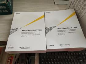 International GAAP 2011