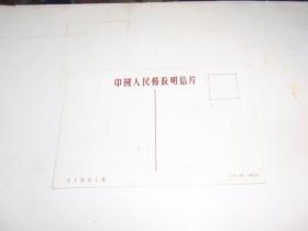 1952年中国人民邮政明信片：北京团城玉佛  L8