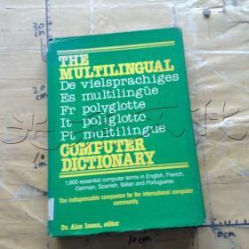 The Multilingual Computer Dictionary