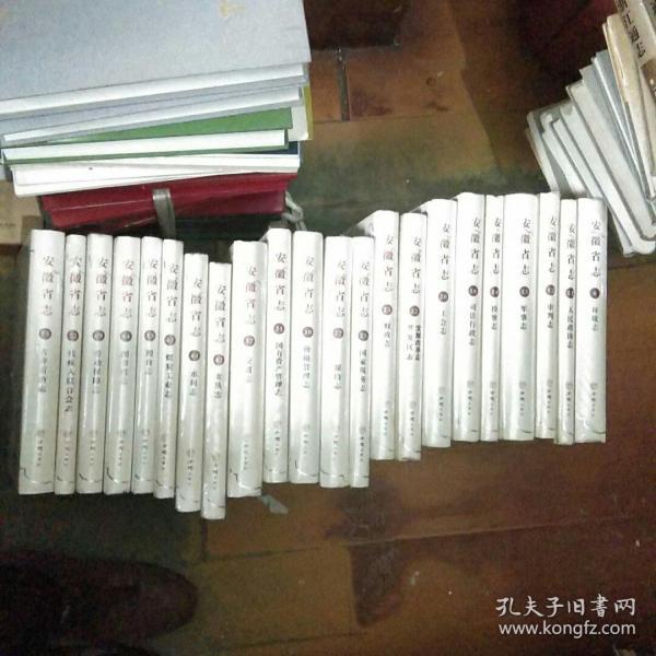 安徽省志 12 审判志 （1986—2005） 大16开精装 薄皮包装 没有拆封