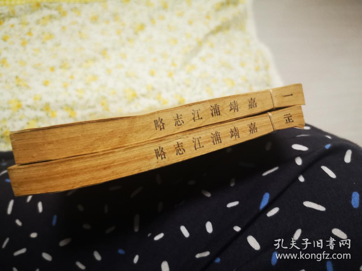 天一阁藏明代方志选刊——嘉靖浦江志略（上下）