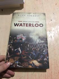Waterloo: Great Battles Series 滑铁卢:伟大的战斗系列