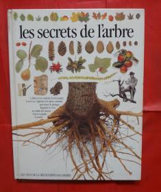 Les Secrets de l'arbre 法文书  16开