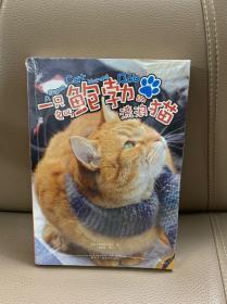 一只名叫鲍勃的流浪猫（升级版）