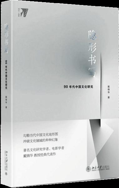 隐形书写(90年代中国文化研究)(精)