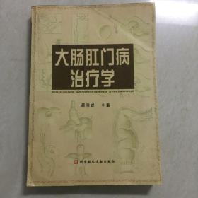 大肠肛门病治疗学