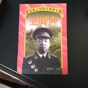 王树声