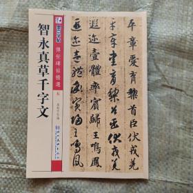 墨点字帖·传世碑帖精选：智永真草千字文（毛笔草书书法字帖）