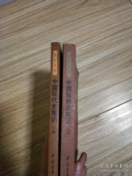 中国现代史常识 上下