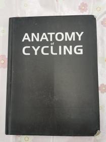 Ananomy of Cycling