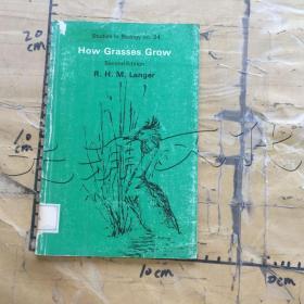 How grasses grow