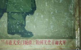 1967年2开宣传画毛主席和林副主席检阅革命文化大军包老保真