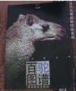 百驼图谱