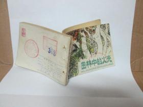 森林中的火光