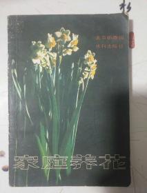 家庭养花