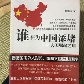 谁在为中国添堵：大国崛起之痛  全新正版未拆封