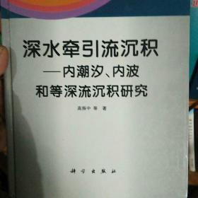 深水牵引流沉积:内潮汐、内波和等深流沉积研究（科学出版社样书）