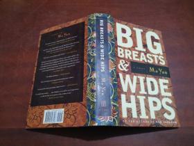 1996年 Big Breasts & Wide Hips: A Novel by Mo Yan 精装
