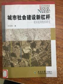 城市社会建设新杠杆:社区民间组织研究