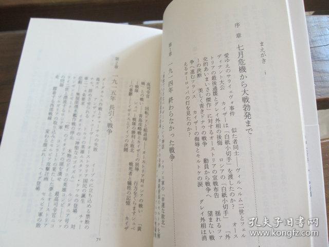 日文原版 第一次世界大戦史 - 諷刺画とともに見る指導者たち (中公新書) 飯倉 章