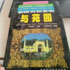 新疆自然景观与与苑园——中国西部景园建筑与旅游丛书