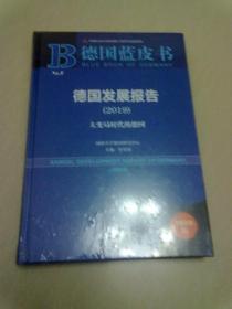 2019 德国发展报告 大变局时代的德国【2019版】16开精装本