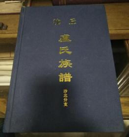 （沈丘）卢氏族谱《沈丘卢氏家谱 沙北分支》