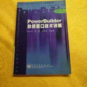 PowerBuilder数据窗口技术详解