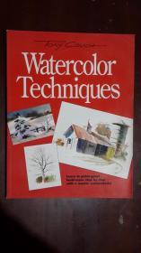 《watercolortechniques》【水彩技法  英文版】（大16开平装 厚铜版纸彩印图文本）九品