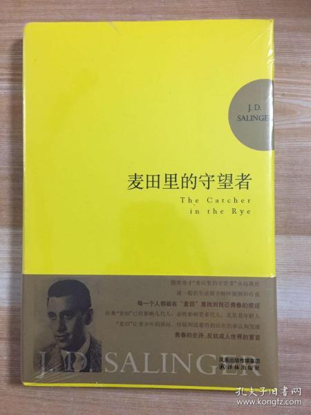 麦田里的守望者 纪念版