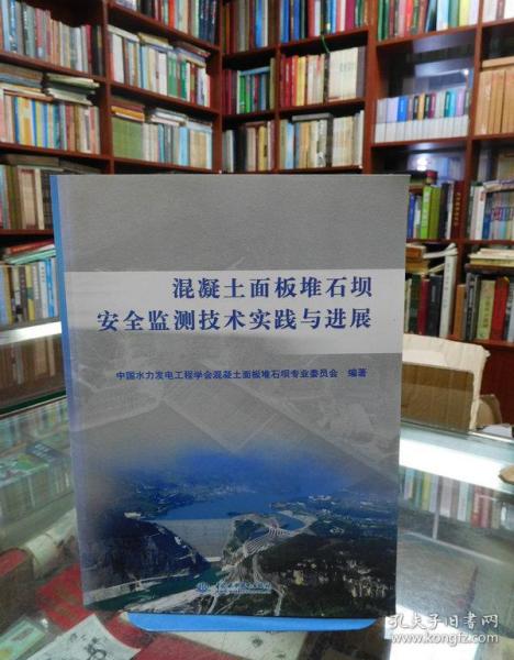 混疑土面板堆石坝安全监测技术实践与进展