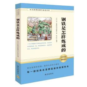 二手正版钢铁是怎样炼成的 尼奥斯特洛夫斯基 南方出版社