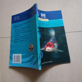 锦鲤 观赏鱼养殖技术丛书