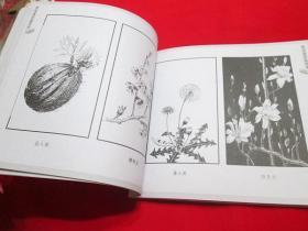 孔网缺本：李文君百花写生