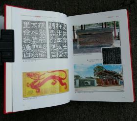 《芦山县革命老区发展史》（全国革命老区县发展史丛书四川卷之一）__2019年一版一印1000册___中共党史出版