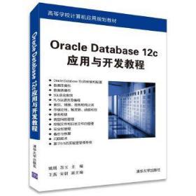 Oracle Database 12c应用与开发教程 高等学校计算机应用规划教材