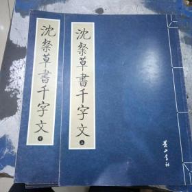 沈粲草書千字文，上下两册.