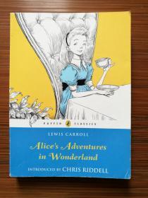 英文 英语 Alice’s Adventures in Wonderland 爱丽丝梦游仙境 仅第一部 儿童小说 儿童文学 爱丽丝