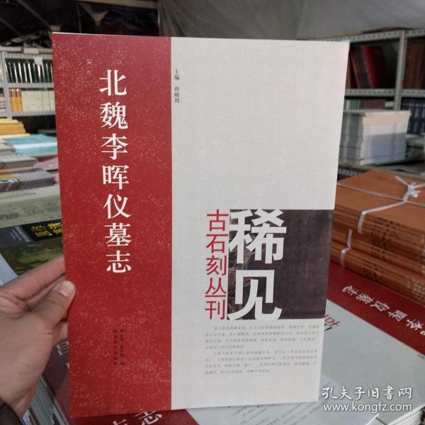 稀见古石刻丛刊 北魏李晖仪墓志