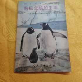 南极企鹅的生活