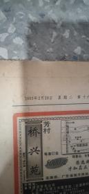羊城晚报   1995 年2月15日-28日 （原版报合订）
