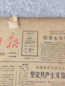 广州日报1985年12月份 原版合订