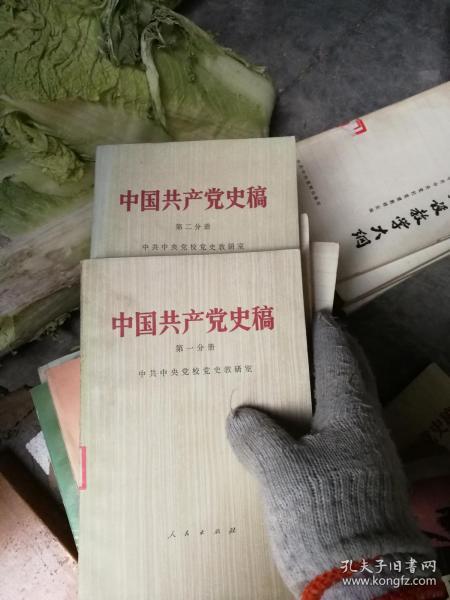 中国共产党史稿 第一分册