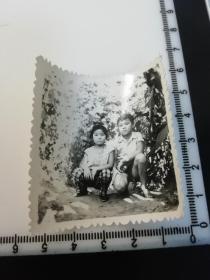 七八十年代  童年系列 老照片 1张 花丛姐弟