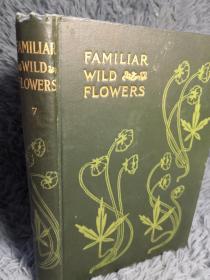 大量彩色插图《植物图鉴》第七卷 FAMILIAR WILD FLOWERS. FIGURED AND DESCRIBED BY F.EDWARD HULME,F.L.S F.S.A.  19.7X13.6CM