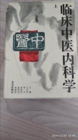 临床中医内科学  (上、下册)    王永炎